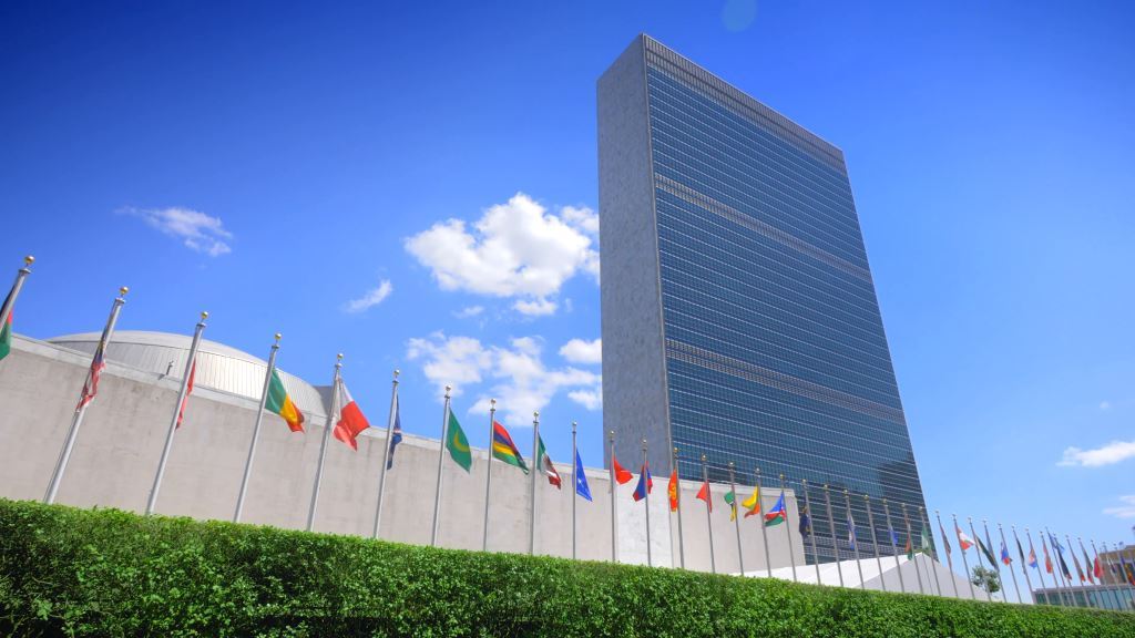Organication des Nations Unies
